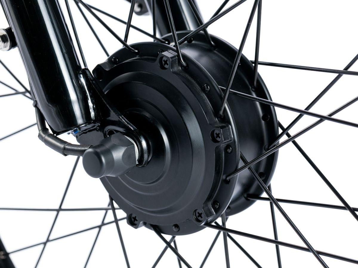 Električni tricikl 20" VIGO (250W 36V/10.4Ah lithium) crna - Слика 5