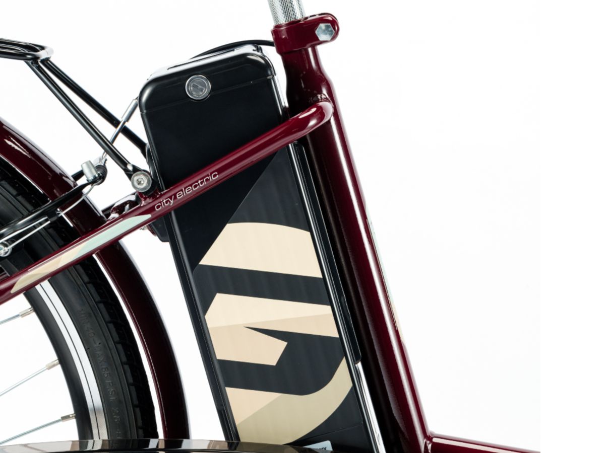 Električni bicikl 26" BARCELONA (250W 36V/10.4Ah lithium) bordo - Слика 5